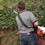 Stihl Scythe vs Hedge Trimmer